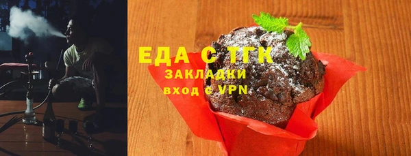 мдпв Ельня